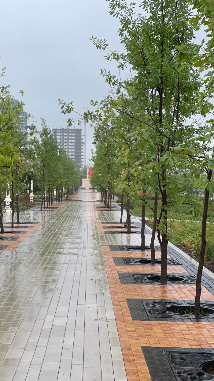 Приствольная решетка для дерева ZKING CRUST 1.2х1.2м Черная в Хабаровске фото