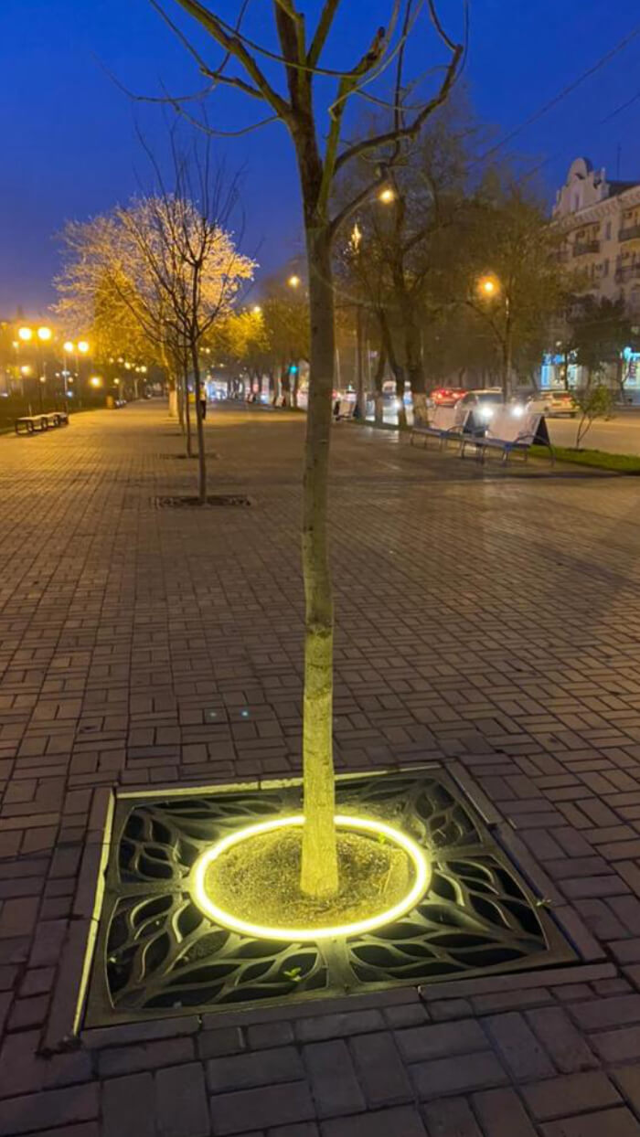 Приствольная решетка для дерева ZKING CRUST 1.2х1.2м Черная в Хабаровске фото